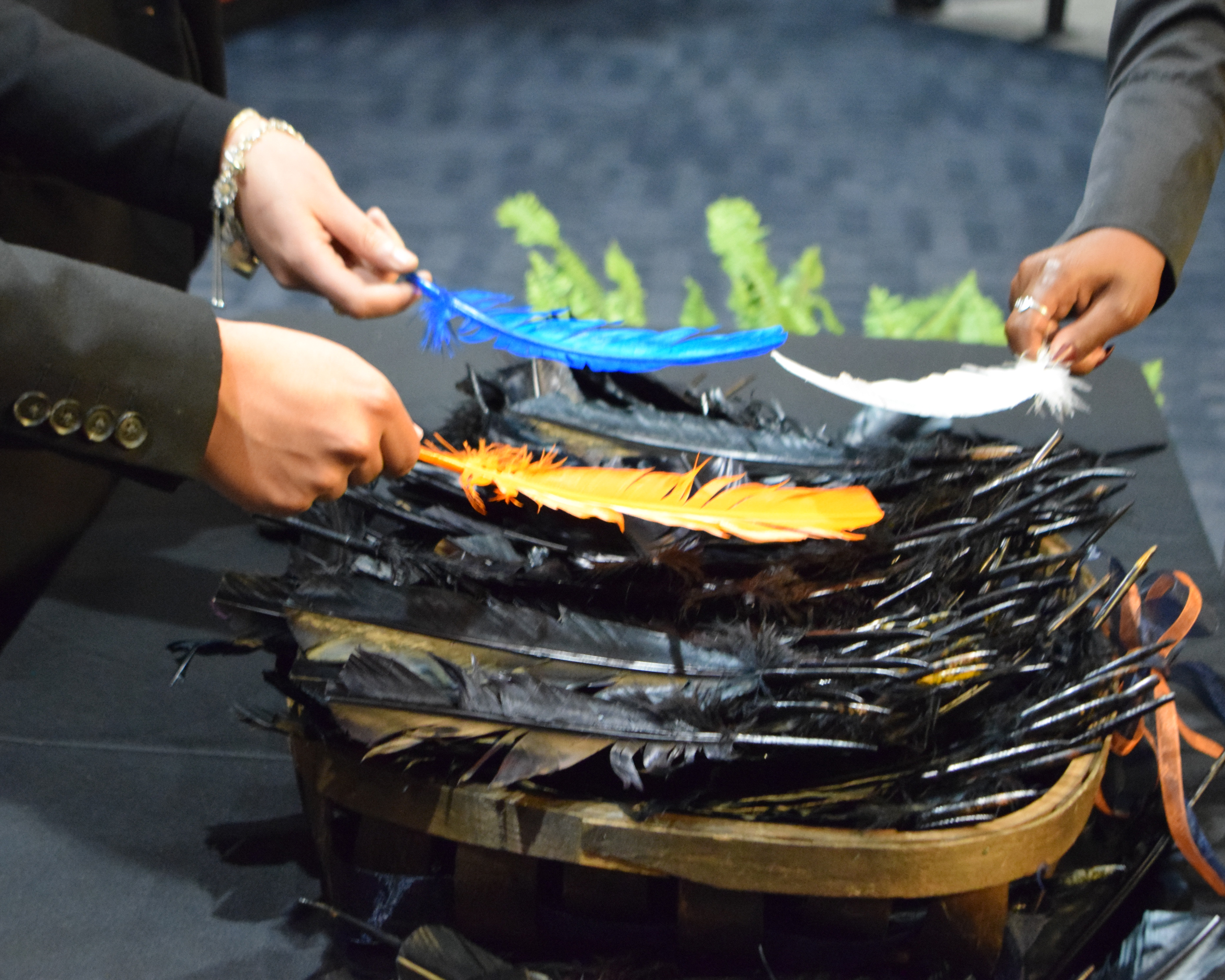 Three extended arms each placing one colored feather on top of a pile of black feathers. From left to right an orange feather, blue feather, and a white feather.